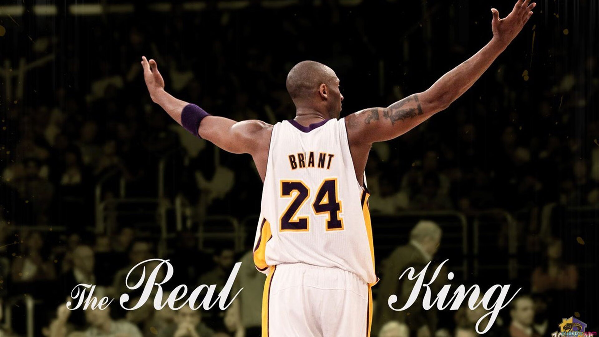 世界综合扑克运动会 首次将多种牌类收纳于一赛